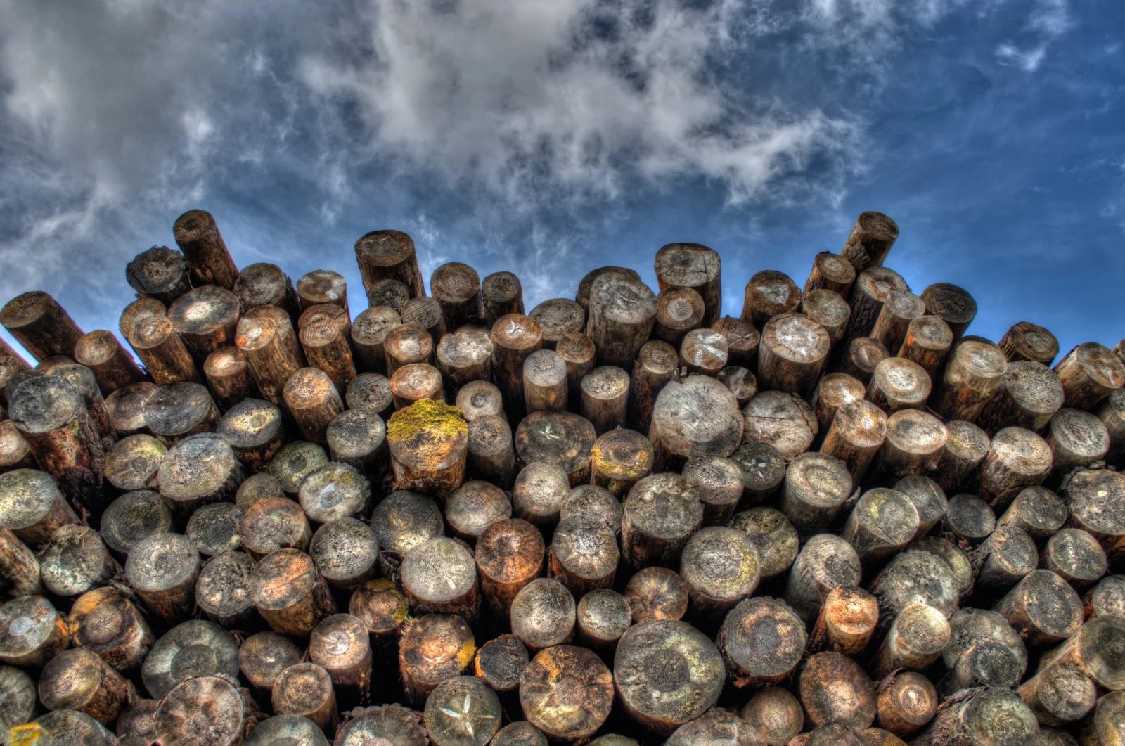 Misarma Enterprise forestry operations and wooden supplies in Malaysia