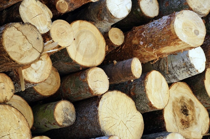 Log & Timber