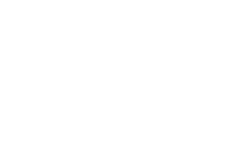 Rapid response icon